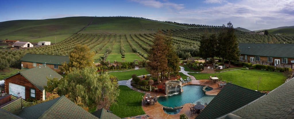 A lush, green landscape featuring a swimming pool and olive trees, with rustic buildings in the foreground.