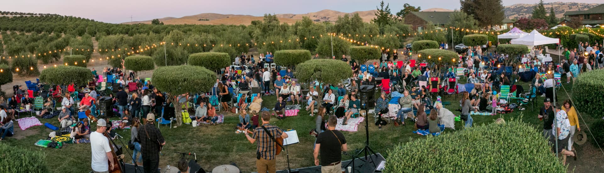 A large crowd enjoys a music event in a picturesque outdoor setting, surrounded by trees and string lights.