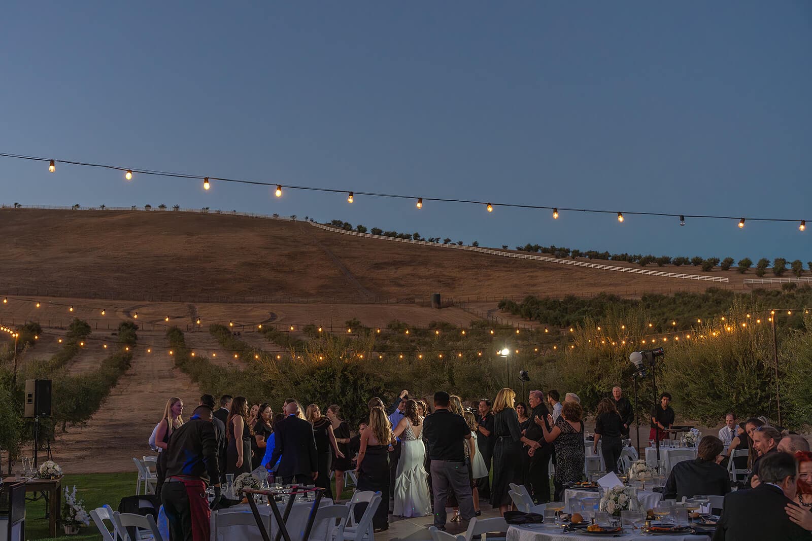 A lively outdoor evening gathering with twinkling lights and guests dancing in a vineyard setting.