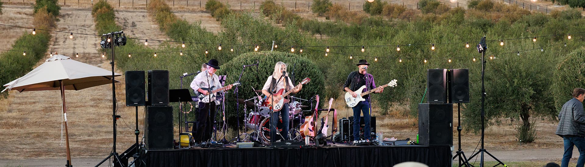 A band performs on stage outdoors, surrounded by string lights and olive trees.
