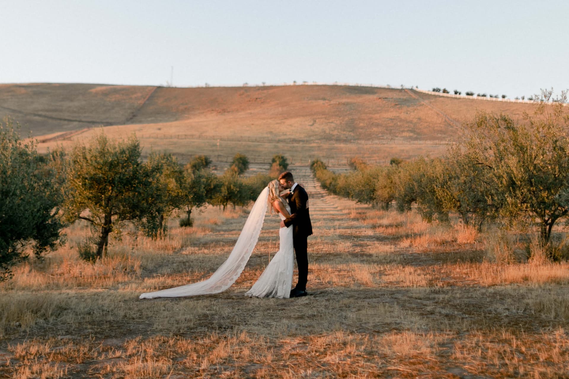 A man and woman in wedding attire standing in the middle of an orchard with rolling hills in the background.