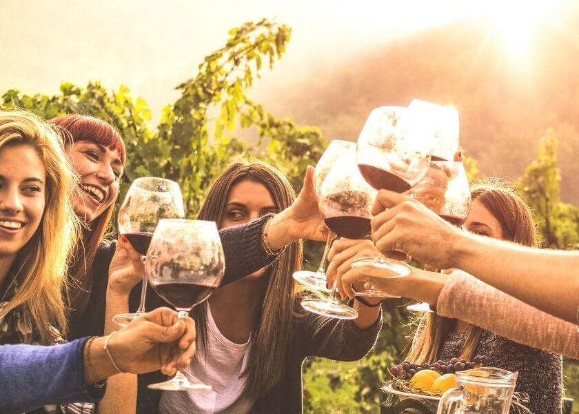 group of friends outside in vineyard toasting wine goblets group of friends outside in vineyard toasting wine goblets